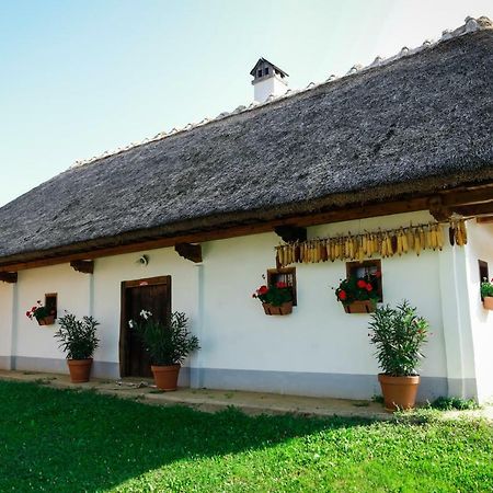 Hrgova Hiska Guest House Ptuj Eksteriør bilde