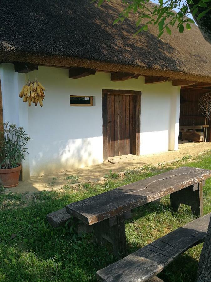 Hrgova Hiska Guest House Ptuj Eksteriør bilde