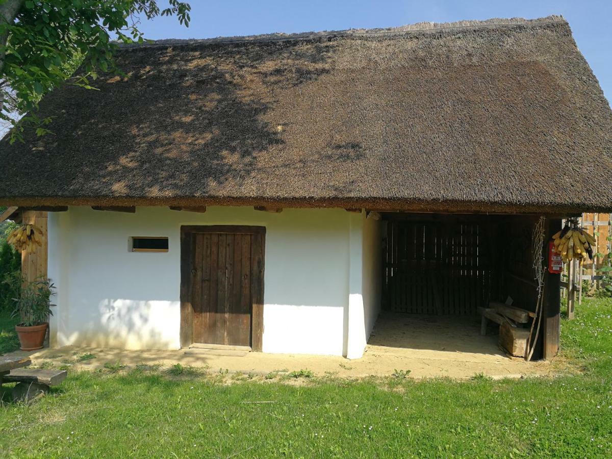 Hrgova Hiska Guest House Ptuj Eksteriør bilde